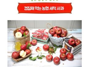 백화점에서 난리난 2023 농협 음성 천생연 사과 6kg 햇 부사 추천상품