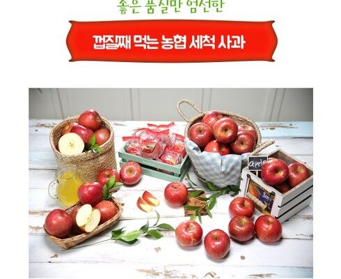 백화점에서 난리난 2023 농협 음성 천생연 사과 6kg 햇 부사 추천상품