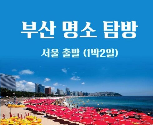 홈쇼핑 MD가 추천하는 부산출발기차여행 추천상품