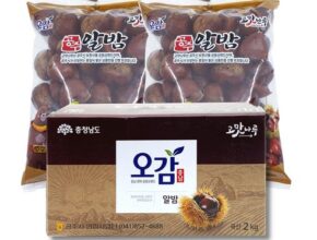 가성비 끝판왕 23년산 충주 햇밤 8kg 베스트8