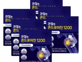 어제 살까 망설이던 관절엔 콘드로이친1200 8개월분  베스트8