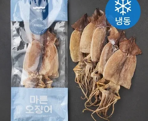 방송인기상품 오징어 베스트상품