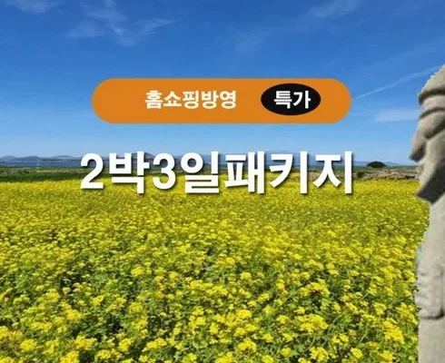 나만 빼고 다 아는 허니제주 패키지 강력 추천