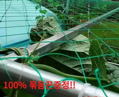 정말 놓치기 아까운 오이망 추천 리뷰