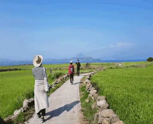 합리적인 당신을 위한 제주도 4일 패키지  추천 리뷰