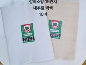 정말 놓치기 아까운 소창원단 후기